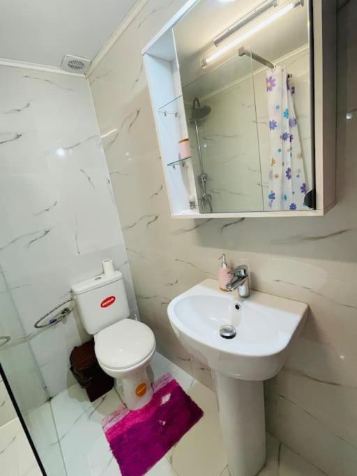 Lavender Luxury Apartment Орадеа Екстериор снимка